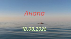 Анапа 18.08.2026 прогулка на Сапе