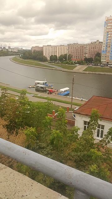 VID_20260819_092330С добрым утром .