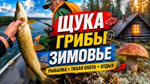 Рыбалка на Щуку / Грибы / Новое Зимовье