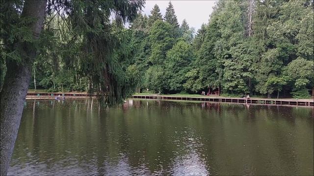 Утренний обзор с нижнего водоёма. Клёвое место, Лосиный остров.