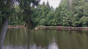 Утренний обзор с нижнего водоёма. Клёвое место, Лосиный остров.