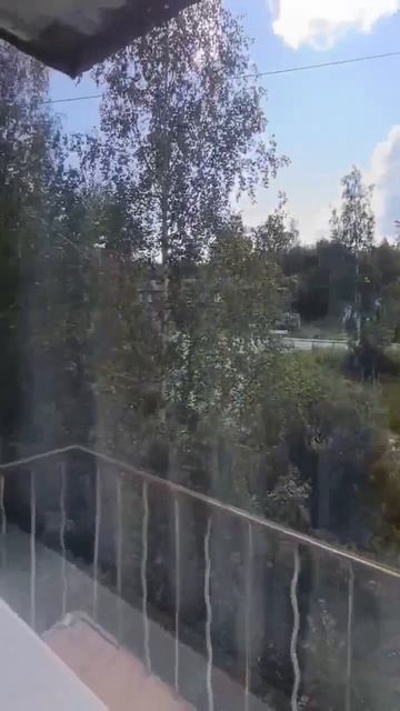 VID_20260819_121652