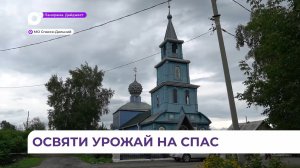 Яблочный Спас имеет особый смысл для жителей Спасска-Дальнего