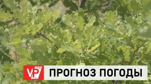 ПРОГНОЗ ПОГОДЫ ПО ВОЛГОГРАДУ И ОБЛАСТИ С 20 ПО 26 АВГУСТА