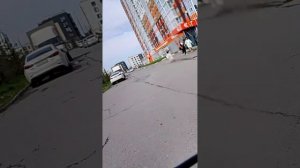 катаемся на великах