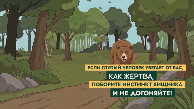Медведи стали героями мультфильм проекта «Земля медведя: правила добрососедства»