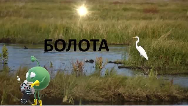 Болота