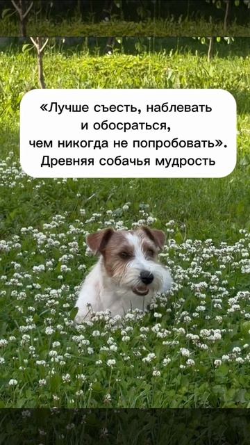 ахаххах Подписываемся 😉