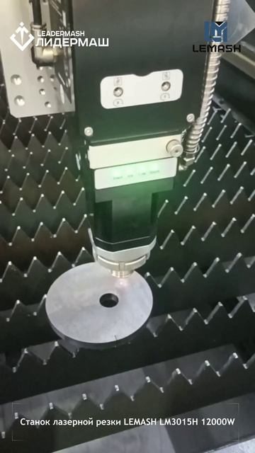 Комплекс лазерной резки LEMASH LM3015H 12000W