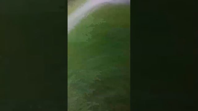 транслюха
