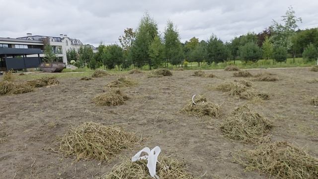 КП Ренессанс парк