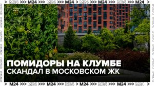 Скандал произошел в московском ЖК из-за помидоров на клумбе - Москва 24