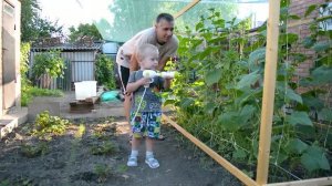 Помогаем Бабушке поливать огурцы