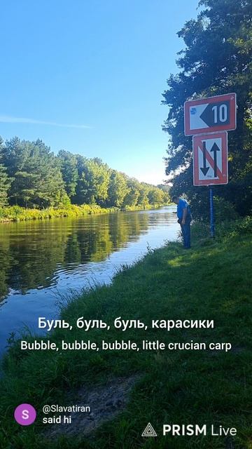 проверка паука