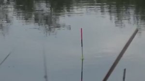 С ПОПЛАВКОМ в ПРОЛИВНОЙ ДОЖДЬ ВСЁ ЧТО НУЖНО ДЛЯ ХОРОШЕГО КЛЕВА