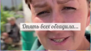 Работа помощников - это грабёж сред белого дня....
