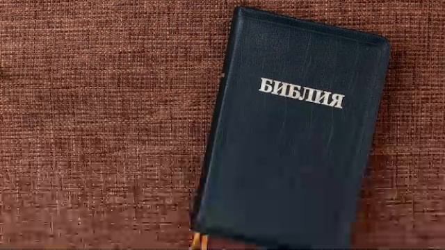 Разбор слова 19.08.2026
