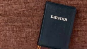 Разбор слова 19.08.2026