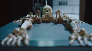Кости, все что останется после нас.