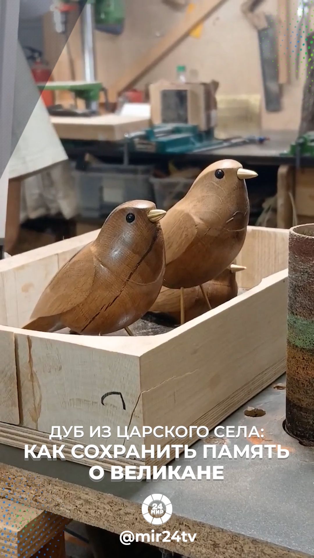 Вторая жизнь 200-летнего дерева