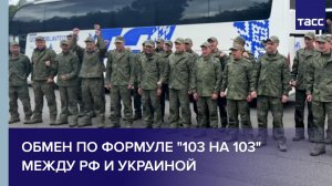 Обмен по формуле «103 на 103» между РФ и Украиной