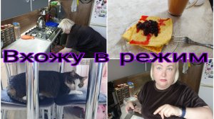 19-08-2026 Творожная запеканка на завтрак * Почему редко ездим в Териберку? * Кухонный влог