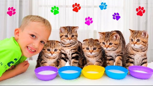Влад и Ники играют с котятами
