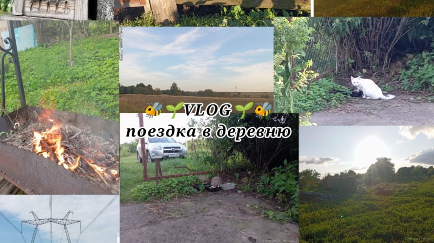 🐝🌱VLOG 🌱🐝 поездка в деревню