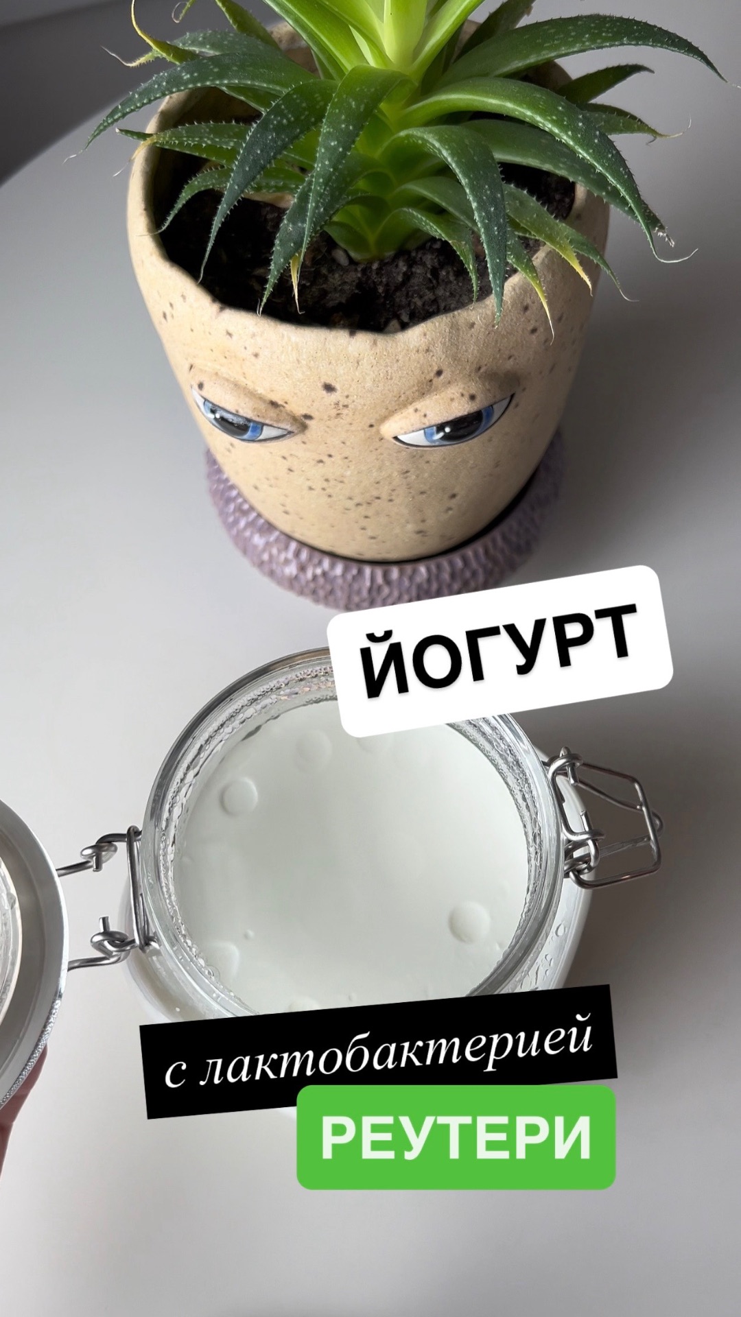 Йогурт с лактобактерией реутери