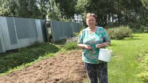 Позаботьтесь о будущем урожае. Не оставляйте землю голой.
