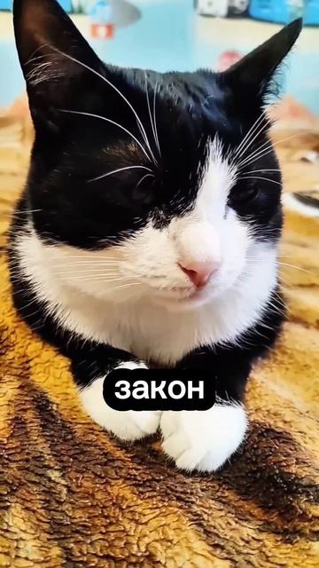 😀 Закон природы