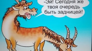 Рассуждения Гопников!!!