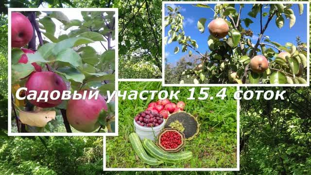 Продаётся дом в центре Елатьмы