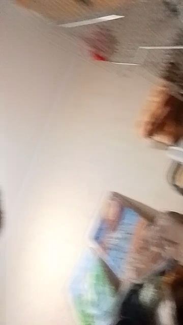мой хомяк 🐹 часть 2