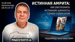 Истинная амрита: как распознать истинную ценность среди суррогатов. Мадхуканта. Бхагаватам 8.6.25–27