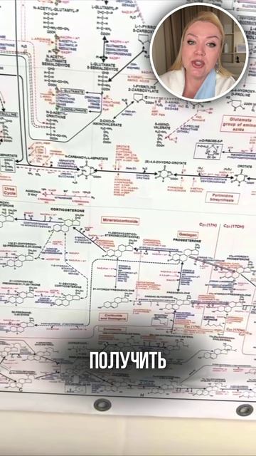 Схема