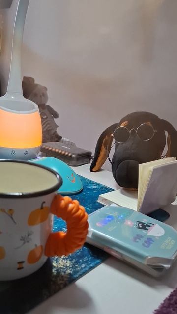 КОТ БАСИК. Ваксон в тёмных очках