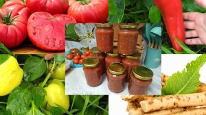 УРОЖАЙ КАК С ПОЛЯ! ГОТОВЛЮ САМУЮ ВКУСНУЮ АДЖИКУ С ХРЕНОМ