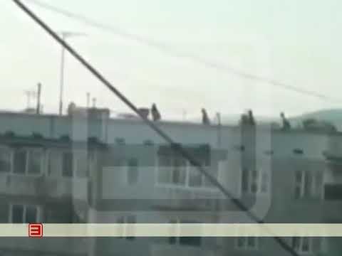 СЕЛФИ НА КРЫШЕ 13 08 18