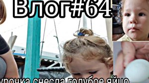 Влог#64 Домашний влог/Зацвела орхидея/Пеку хлеб 🍞/Курочка снесла голубое яичко,такая порода/