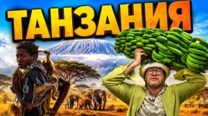 Жизнь охотников-собирателей, особенности профессии сафари-гида и африканский огород / Танзания