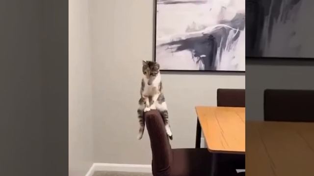Мне так удобно