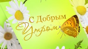 С добрым,летним утром!