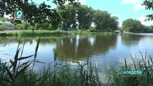 Первая с начала купального сезона гибель на воде: в Старом Осколе утонул 14-летний подросток