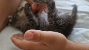 НАШ МАЛЫШ🤗🥰💋💕