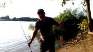 В бурном омуте сомы водятся