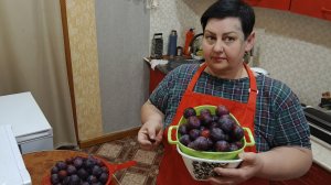 19-08-2026  заготовка слив