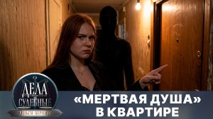 Дела судебные с Дмитрием Агрисом. Деньги верните! Эфир от 19.08.26