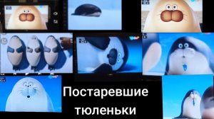 Постаревшие тюленьки