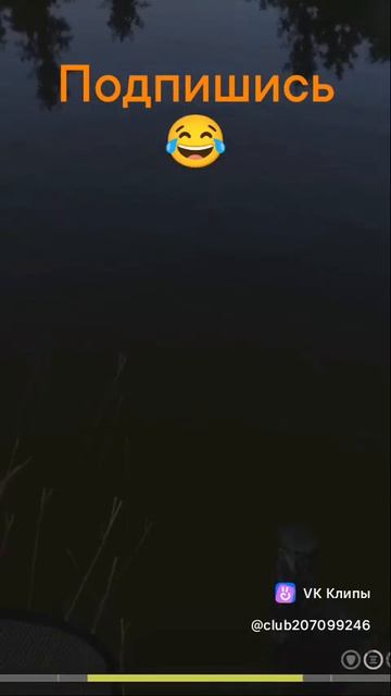 Где подсак 🤣